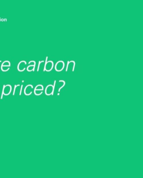 Pricing Carbon Credits