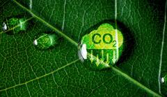 Carbon Offsets